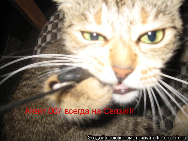 Котоматрица: Агент 007 всегда на Связи!!!