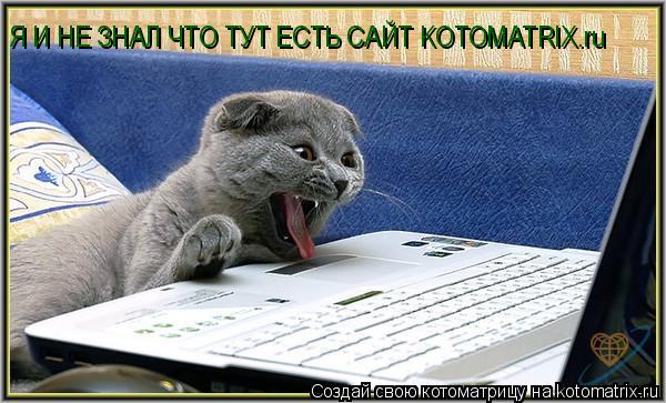 Котоматрица: Я И НЕ ЗНАЛ ЧТО ТУТ ЕСТЬ САЙТ KOTOMATRIX.ru
