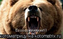 Котоматрица: Еооооожииииик!!!