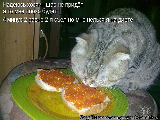 Котоматрица: Надеюсь хозяин щас не придёт а то мне плохо будет 4 минус 2 равно 2 я съел но мне нельзя я на диете