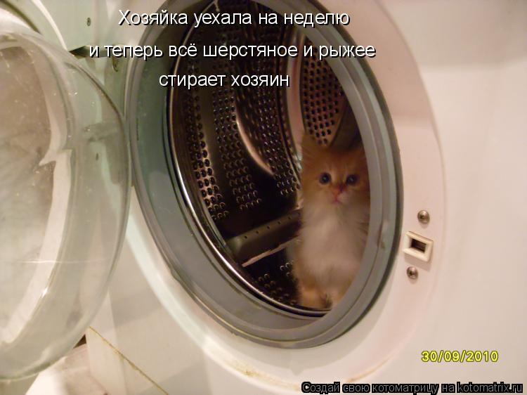 Котоматрица: Хозяйка уехала на неделю и теперь всё шерстяное и рыжее стирает хозяин