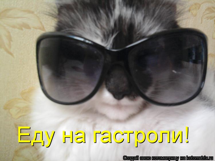 Котоматрица: Еду на гастроли!