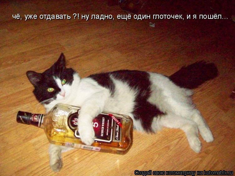 Котоматрица: чё, уже отдавать ?! ну ладно, ещё один глоточек, и я пошёл...
