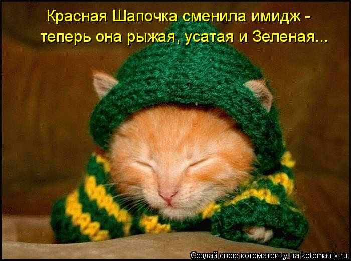 Котоматрица: Красная Шапочка сменила имидж -  теперь она рыжая, усатая и Зеленая...