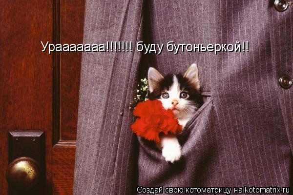 Котоматрица: Урааааааа!!!!!!! буду бутоньеркой!!