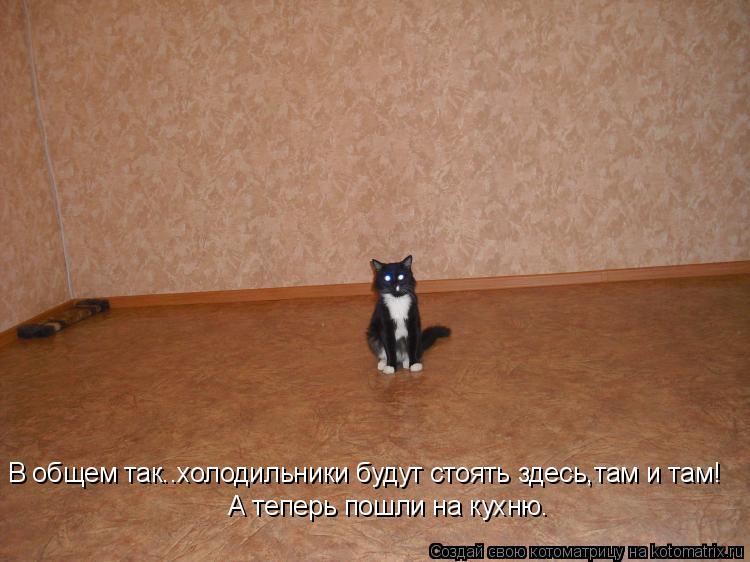 Котоматрица: В общем так..холодильники будут стоять здесь,там и там! А теперь пошли на кухню.