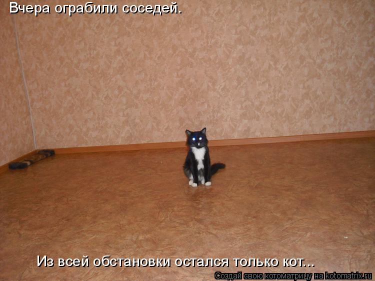Котоматрица: Вчера ограбили соседей. Из всей обстановки остался только кот...
