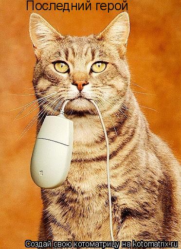 Котоматрица: Последний герой