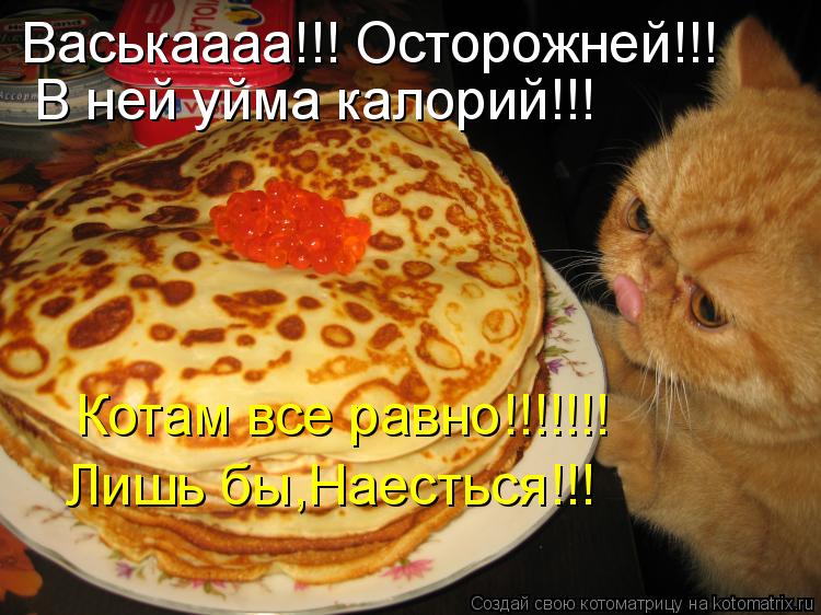 Котоматрица: Васькаааа!!! Осторожней!!! В ней уйма калорий!!! Котам все равно!!!!!!! Лишь бы,Наесться!!!