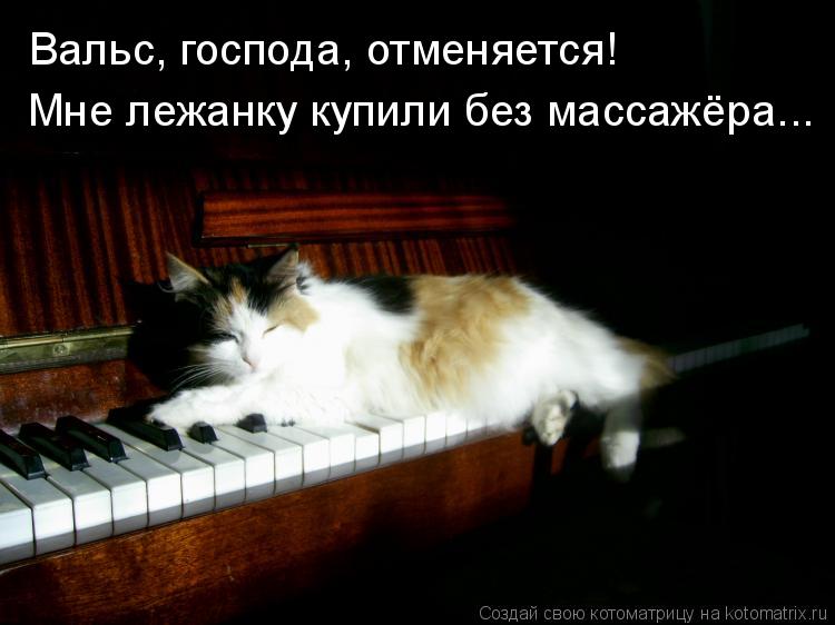 Котоматрица: Вальс, господа, отменяется! Мне лежанку купили без массажёра...