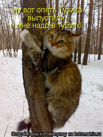 Котоматрица: ну вот опять Тузика выпустили и мне надо в тубзик!!!