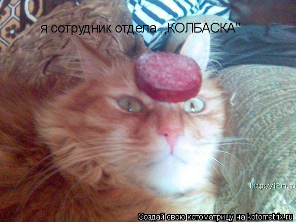 Котоматрица: я сотрудник отдела ,,КОЛБАСКА"