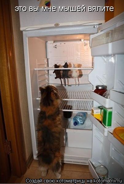 Котоматрица: это вы мне мышёй вялите