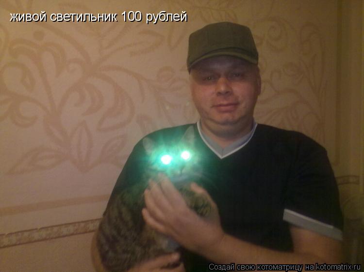 Котоматрица: живой светильник 100 рублей