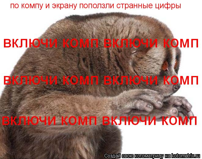 Котоматрица: по компу и экрану поползли странные цифры включи комп включи комп включи комп включи комп включи комп включи комп