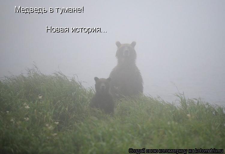 Котоматрица: Медведь в тумане! Новая история...