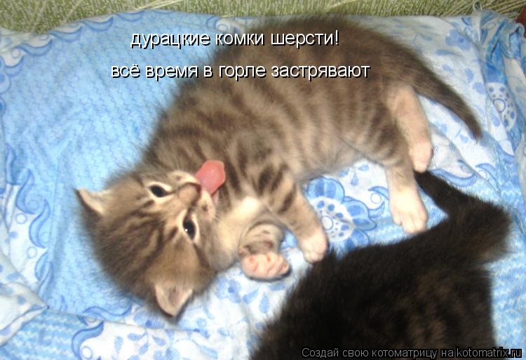 Котоматрица: дурацкие комки шерсти! всё время в горле застрявают