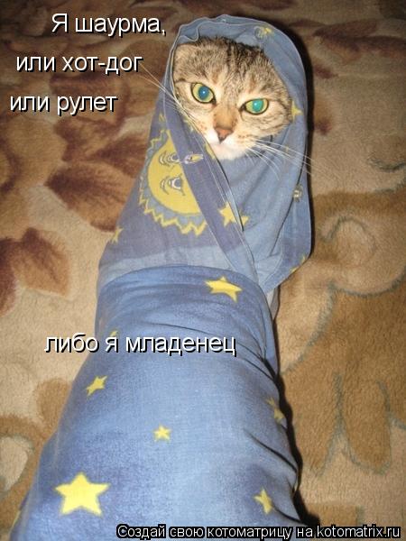 Котоматрица: Я шаурма, или хот-дог или рулет либо я младенец
