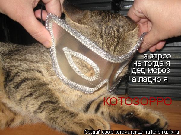 Котоматрица: я зороо не тогда я дед мороз а ладно я КОТОЗОРРО