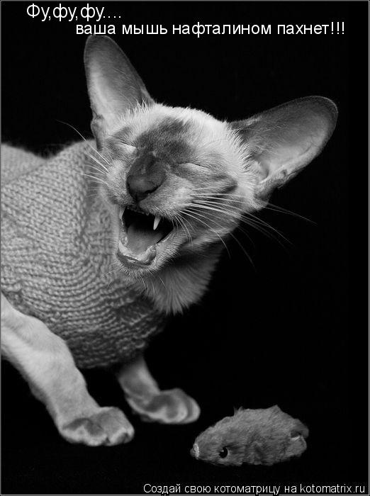 Котоматрица: Фу,фу,фу.... ваша мышь нафталином пахнет!!!