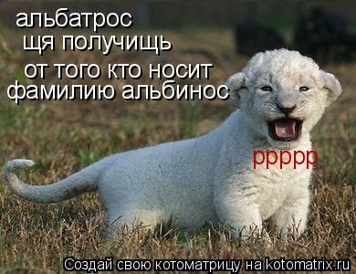 Котоматрица: альбатрос щя получищь от того кто носит  фамилию альбинос ррррр