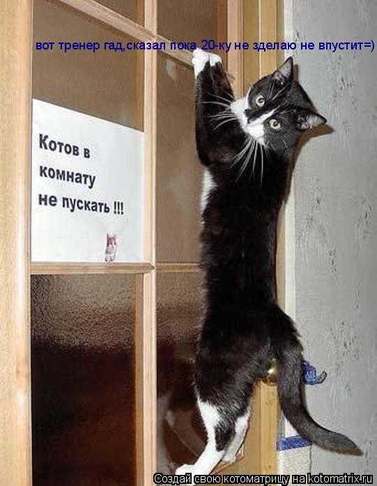 Котоматрица: вот тренер гад,сказал пока 20-ку не зделаю не впустит=)