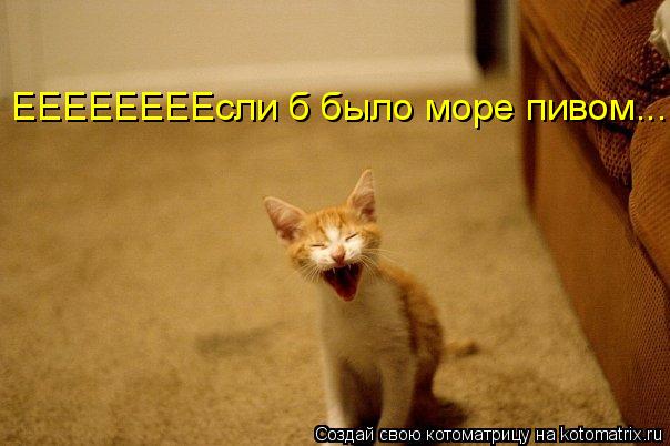 Котоматрица: ЕЕЕЕЕЕЕЕсли б было море пивом....
