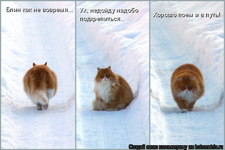 Котоматрица: Блин как не вовремя... Ух, недойду надобо  подкрепиться.. Хорошо поем и в путь!