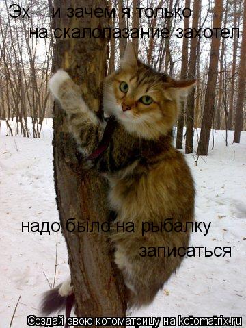 Котоматрица: Эх    и зачем я только  на скалолазание захотел надо было на рыбалку  записаться
