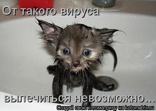 Котоматрица: От такого вируса  вылечиться невозможно...