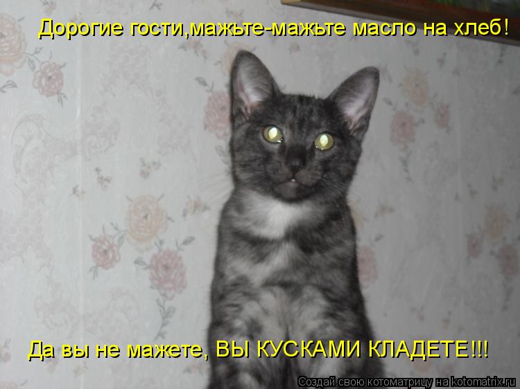 Котоматрица: Дорогие гости,мажьте-мажьте масло на хлеб!  Да вы не мажете, ВЫ КУСКАМИ КЛАДЕТЕ!!!