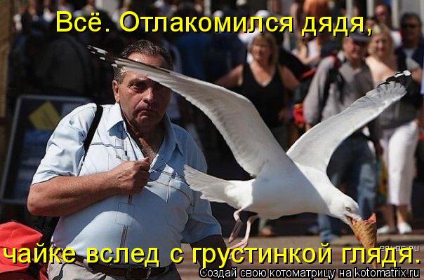Всё. Отлакомился дядя, чайке вслед с грустинкой глядя...... Котоматрица: Всё. Отлакомился дядя, чайке вслед с грустинкой глядя...