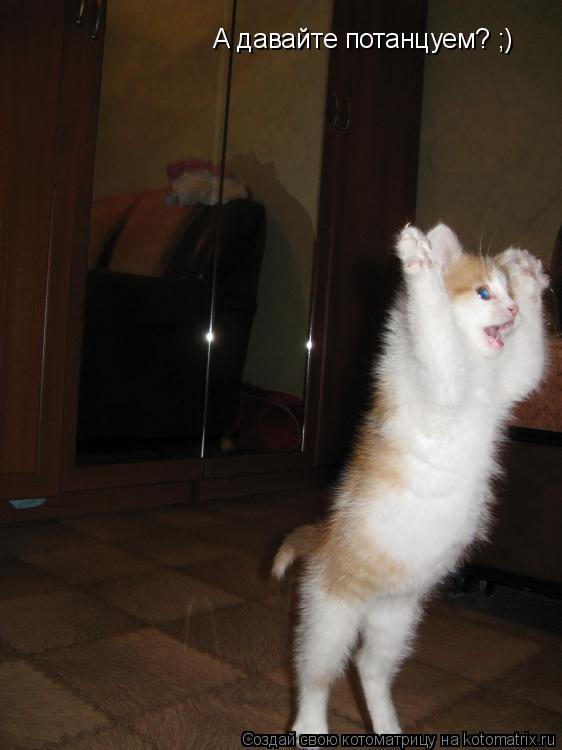 Котоматрица: А давайте потанцуем? ;)