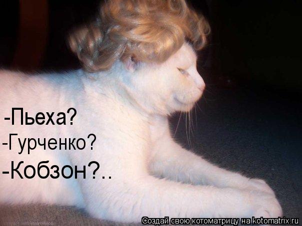 Котоматрица: -Пьеха? -Гурченко? -Кобзон?..