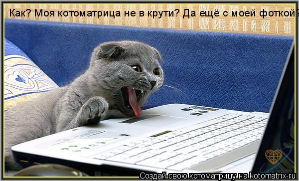 Котоматрица: Как? Моя котоматрица не в крути? Да ещё с моей фоткой?