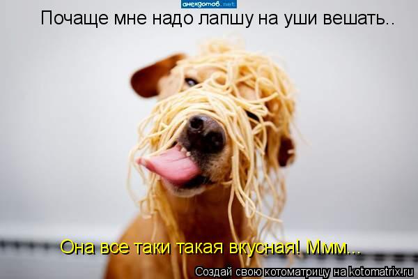 Котоматрица: Почаще мне надо лапшу на уши вешать.. Она все таки такая вкусная! Ммм...