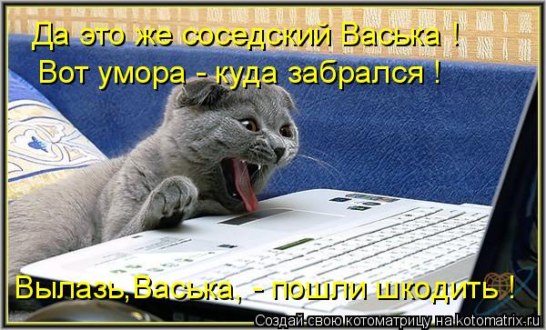 Да это же соседский Васька ! Вот умора - куда забрался ! Вылазь,Васька, - пошли шкодить !... Котоматрица: Да это же соседский Васька ! Вот умора - куда забрался ! Вылазь,Васька, - пошли шкодить !