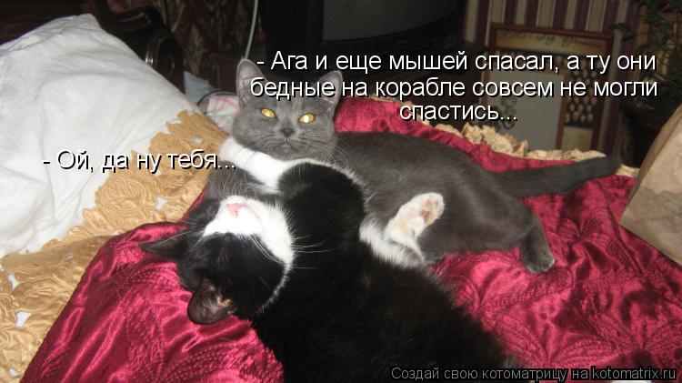 - Ой, да ну тебя... - Ага и еще мышей спасал, а ту они бедные на корабле совсем не могли спастись.... Котоматрица: - Ой, да ну тебя... - Ага и еще мышей спасал, а ту они бедные на корабле совсем не могли спастись...