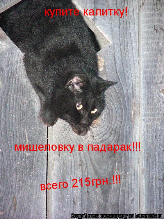 купите калитку! мишеловку в падарак!!! всего 215грн.!!!... Котоматрица: купите калитку! мишеловку в падарак!!! всего 215грн.!!!