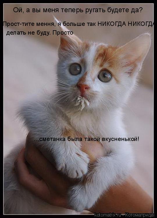 Ой, а вы меня теперь ругать будете да? Прост-тите мення, я больше так НИКОГДА НИКОГДА делать не буду... Котоматрица: Ой, а вы меня теперь ругать будете да? Прост-тите мення, я больше так НИКОГДА НИКОГДА делать не буду. Просто ...сметанка была такой вкусненьк