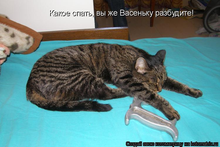 Какое спать, вы же Васеньку разбудите!... Котоматрица: Какое спать, вы же Васеньку разбудите!