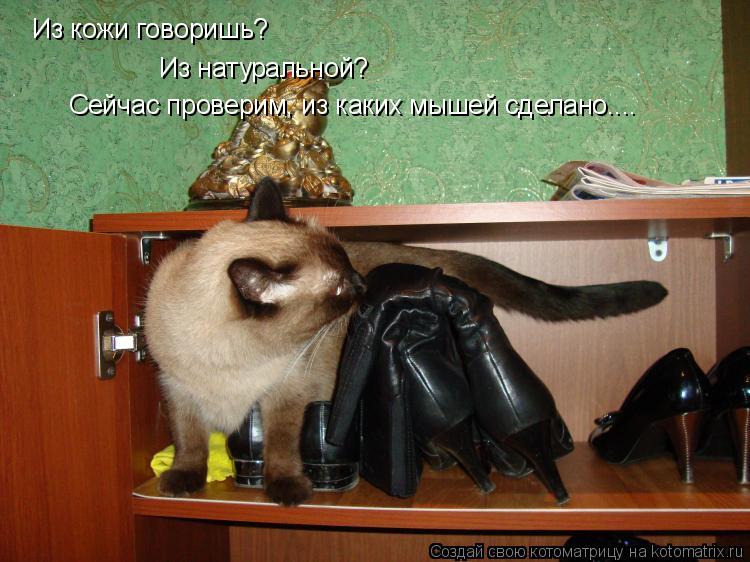 Котоматрица: Из кожи говоришь? Из натуральной? Сейчас проверим, из каких мышей сделано....