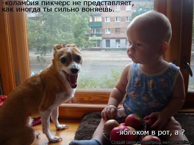 Котоматрица: -коламбия пикчерс не представляет, как иногда ты сильно воняешь. -яблоком в рот, а ?