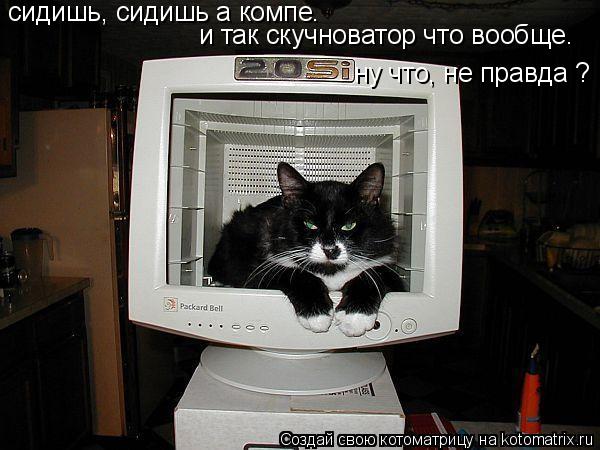 Котоматрица: сидишь, сидишь а компе.  и так скучноватор что вообще. ну что, не правда ?