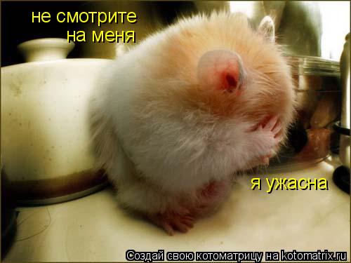 не смотрите на меня я ужасна... Котоматрица: не смотрите на меня я ужасна