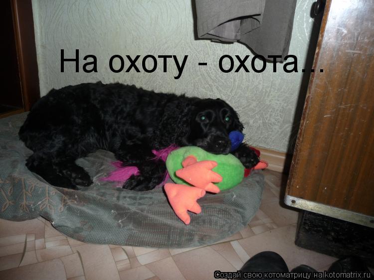 На охоту - охота...... Котоматрица: На охоту - охота...