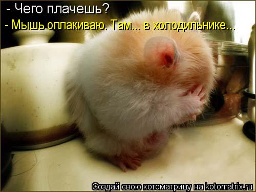 - Чего плачешь? - Мышь оплакиваю. Там... в холодильнике...... Котоматрица: - Чего плачешь? - Мышь оплакиваю. Там... в холодильнике...