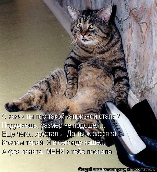 Котоматрица: С каких ты пор такой капризной стала? Подумаешь, размер не подошел... Еще чего...хрусталь...Да ты ж раззява, Кожзам теряй. Я в секонде нашел. А фе