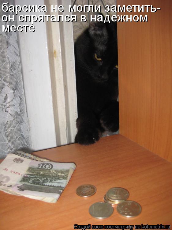 барсика не могли заметить- он спрятался в надежном месте... Котоматрица: барсика не могли заметить- он спрятался в надежном месте