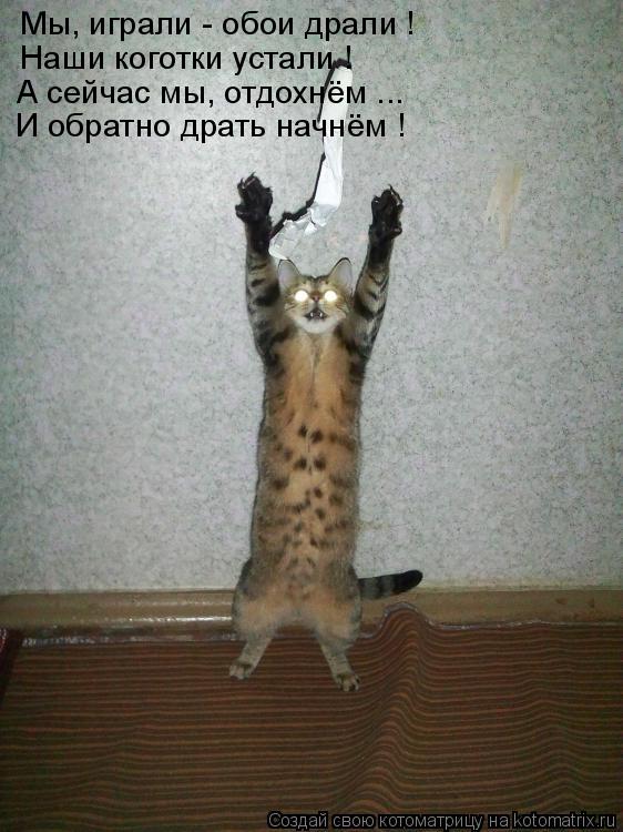 Мы, играли - обои драли ! Наши коготки устали ! А сейчас мы, отдохнём ... И обратно драть начнём !... Котоматрица: Мы, играли - обои драли ! Наши коготки устали ! А сейчас мы, отдохнём ... И обратно драть начнём !